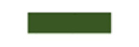 Thick green line
