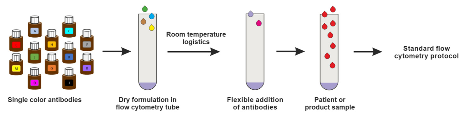 Flow cytometry sample staining workflow with pre-formulated dry reagents
