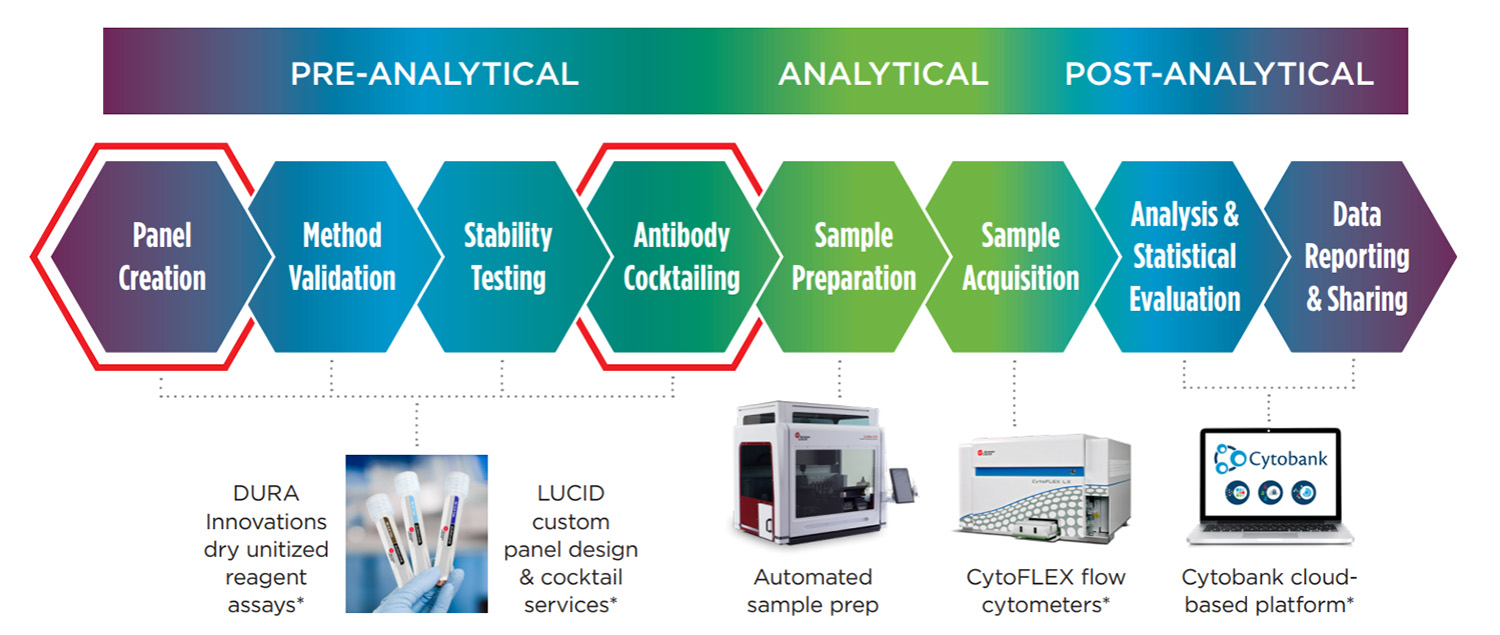 Flow cytometry process phases diagram
