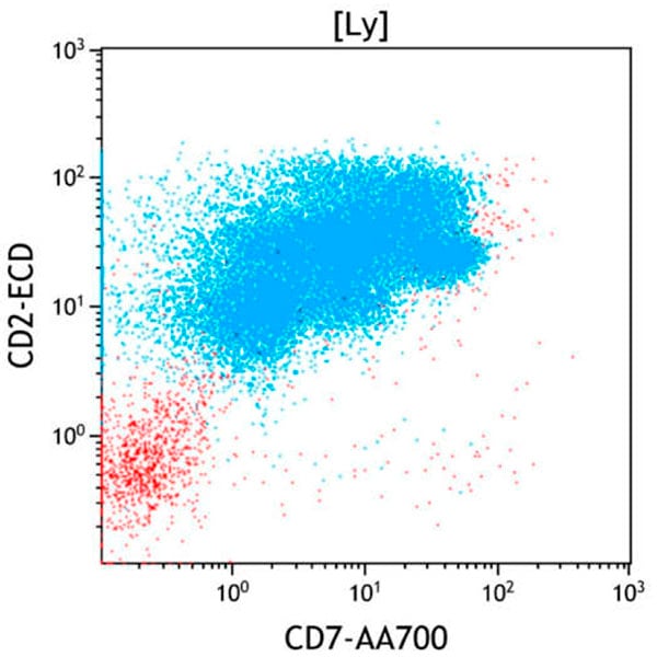 T-Cell Lymphoproliferative Disorder