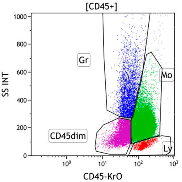 ClearLLab 10C, Case 22, CD45 vs Side Scatter dot plot, CD45+ gate