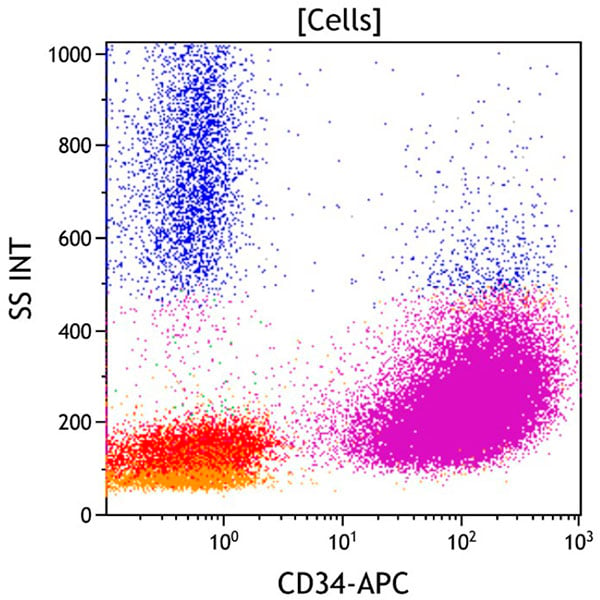 ClearLLab 10C, Case 4, CD34 vs Side Scatter dot plot, all viable cells