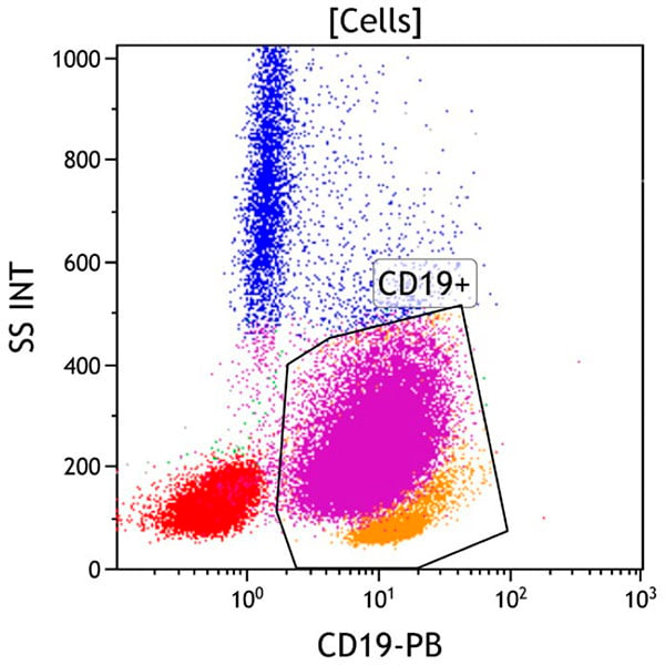 ClearLLab 10C, Case 4, CD19 vs Side Scatter dot plot, Cells gate