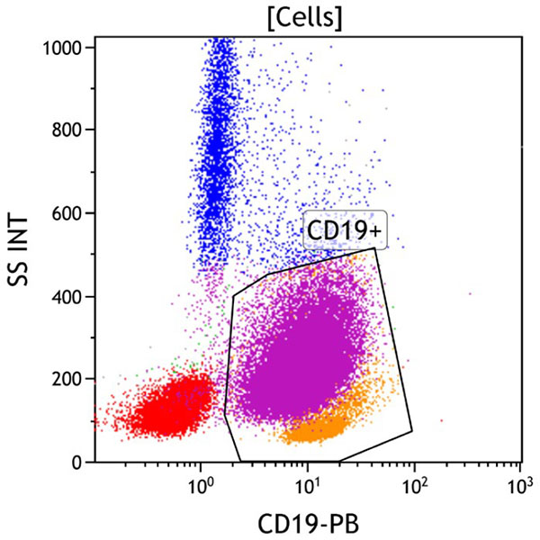 ClearLLab 10C, Case 4, CD19 vs Side Scatter dot plot, Cells gate