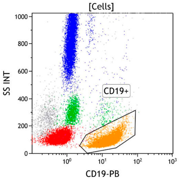 ClearLLab 10C, Case 7, CD19 vs Side Scatter dot plot, Cells gate