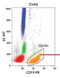 Phenotyping profile CD19 vs SS