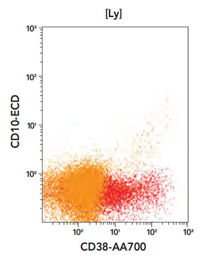 Phenotyping profile CD38 vs CD10