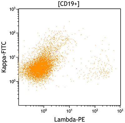Lambda versus kappa dot plot showing all CD19-positive cells