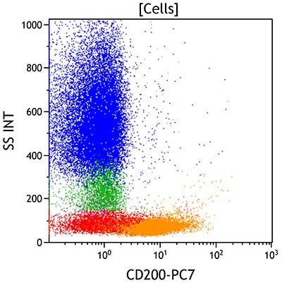 The CD200 versus side scatter dot plot showing all viable cells