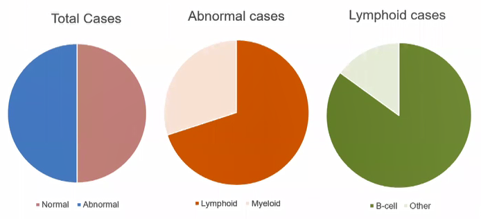 Plasma cell neoplasms