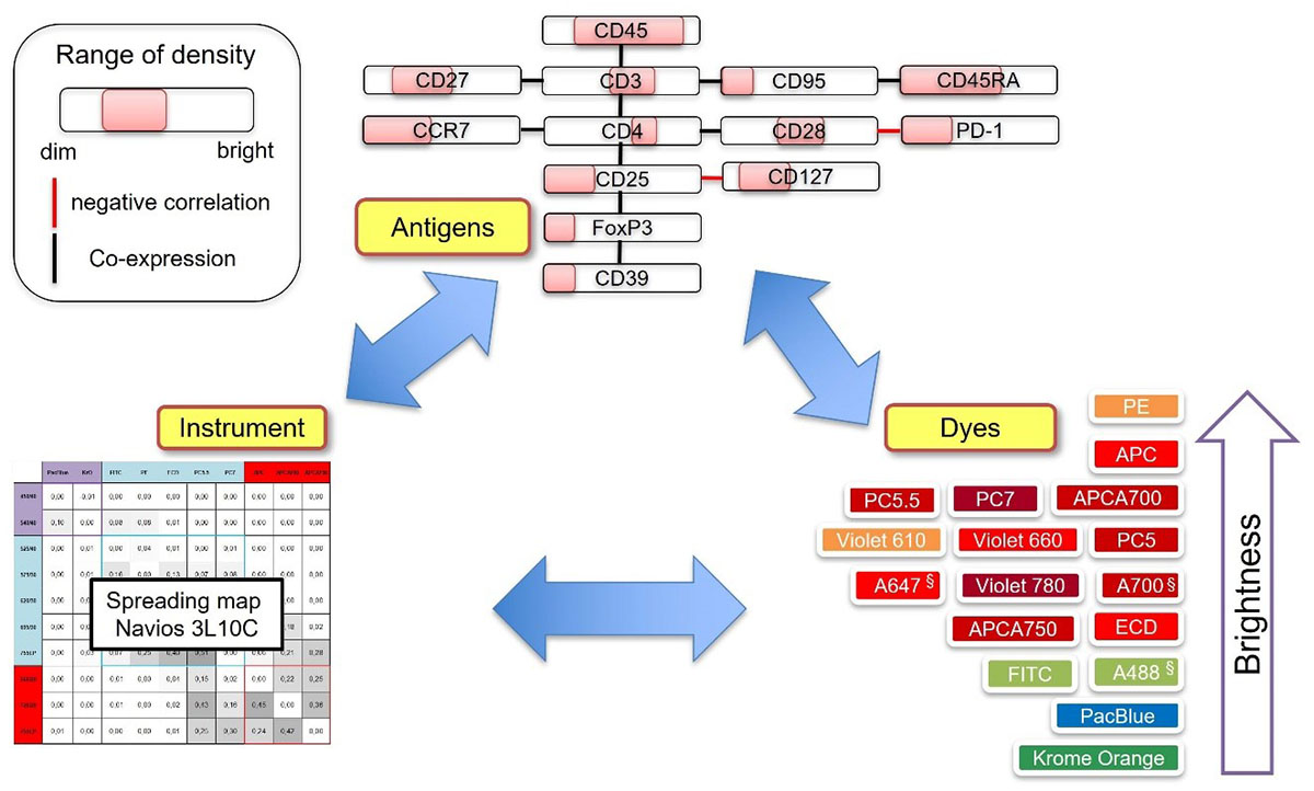 ClearLLab LS Flow Cytometry Reagent Webinar: Slide 11