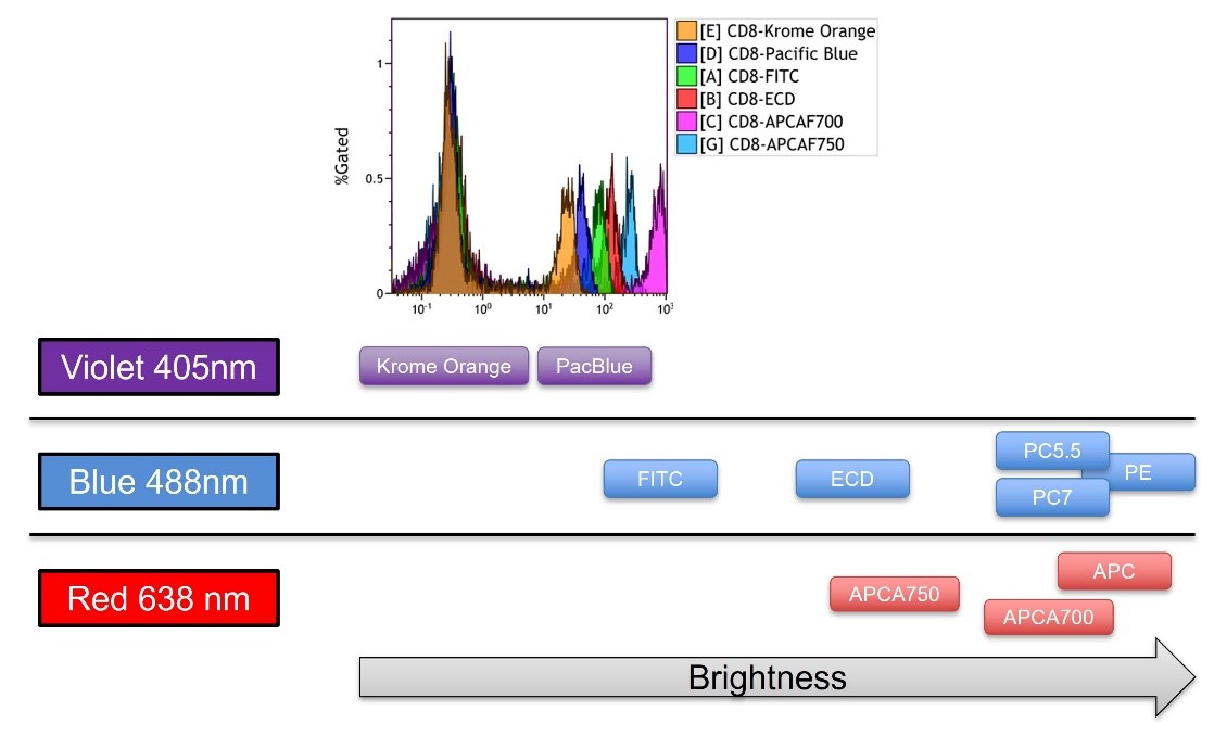 ClearLLab LS Flow Cytometry Reagent Webinar: Slide 12
