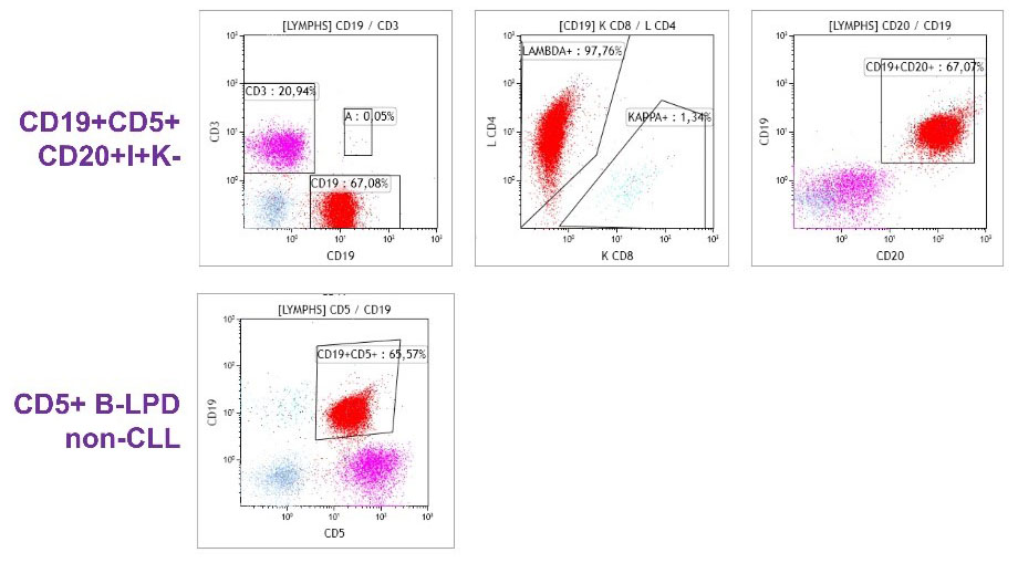 ClearLLab LS Flow Cytometry Reagent Webinar: Slide 25