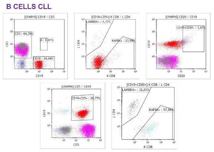 ClearLLab LS Flow Cytometry Reagent Webinar: Slide 27