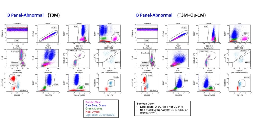 ClearLLab B Cell Tube Staining Profile of ClearLLab Abnormal Control Cells