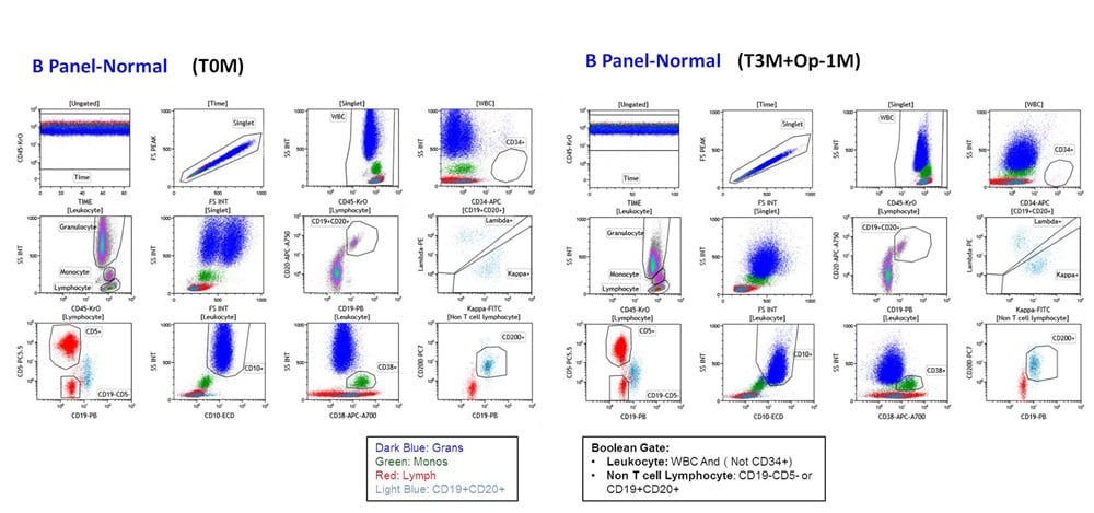 ClearLLab B Cell Tube Staining Profile of ClearLLab Normal Control Cells