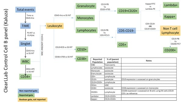 ClearLLab Control Cells Gating Strategy for B Cell Tube