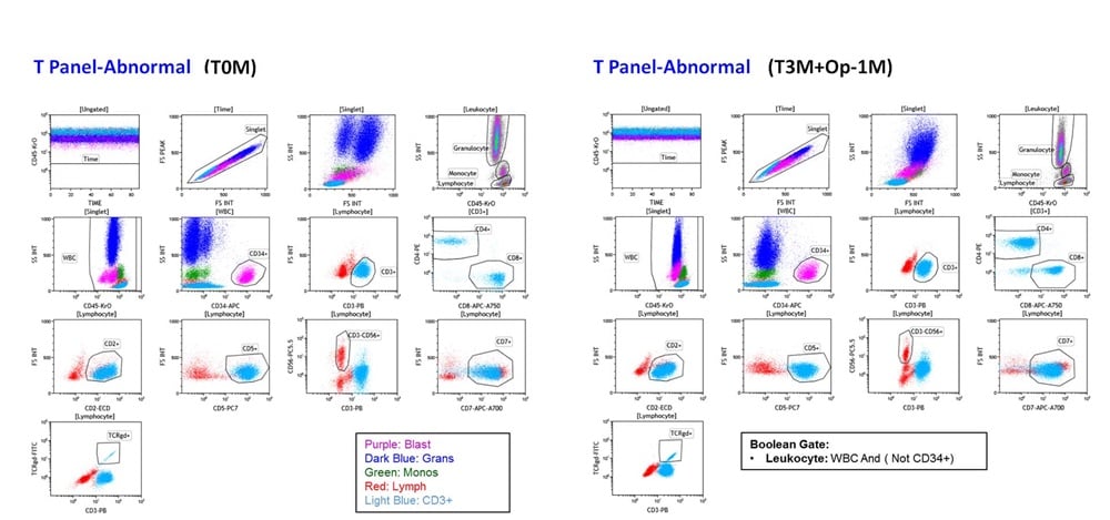 ClearLLab T Cell Tube Staining Profile of ClearLLab Abnormal Control Cells