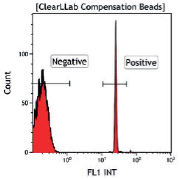 Fluorescence profile of Stained Beads
