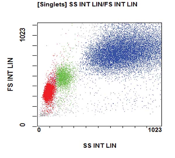 Gating strategy to assess the T, B and NK cell subpopulations. FS vs SS dot plot.