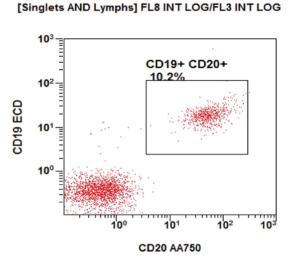 Gating strategy to assess the T, B and NK cell subpopulations. CD20 vs CD19 dot plot.