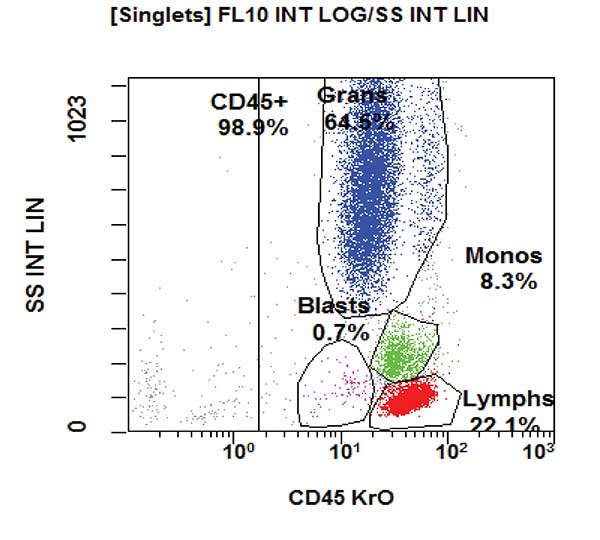 Gating strategy to assess the T, B and NK cell subpopulations. CD45 vs SS dot plot.
