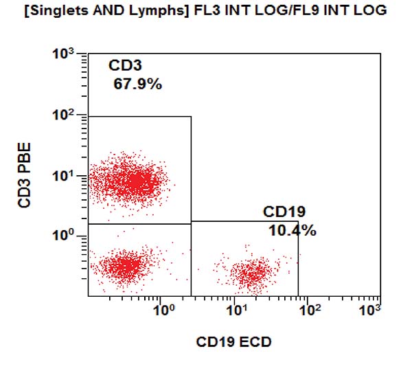 Gating strategy to assess the T, B and NK cell subpopulations. CD19 vs CD3 dot plot.