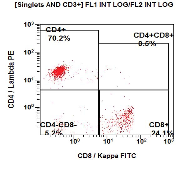 Gating strategy to assess the T, B and NK cell subpopulations. CD8/kappa vs CD4/lambda dot plot gated on CD3+.