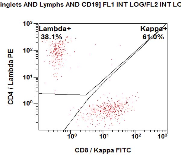 Gating strategy to assess the T, B and NK cell subpopulations. CD8/kappa vs CD4/lambda dot plot gated on CD19+.