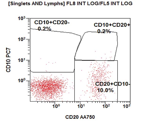 Gating strategy to assess the T, B and NK cell subpopulations. CD20 vs CD10 dot plot.