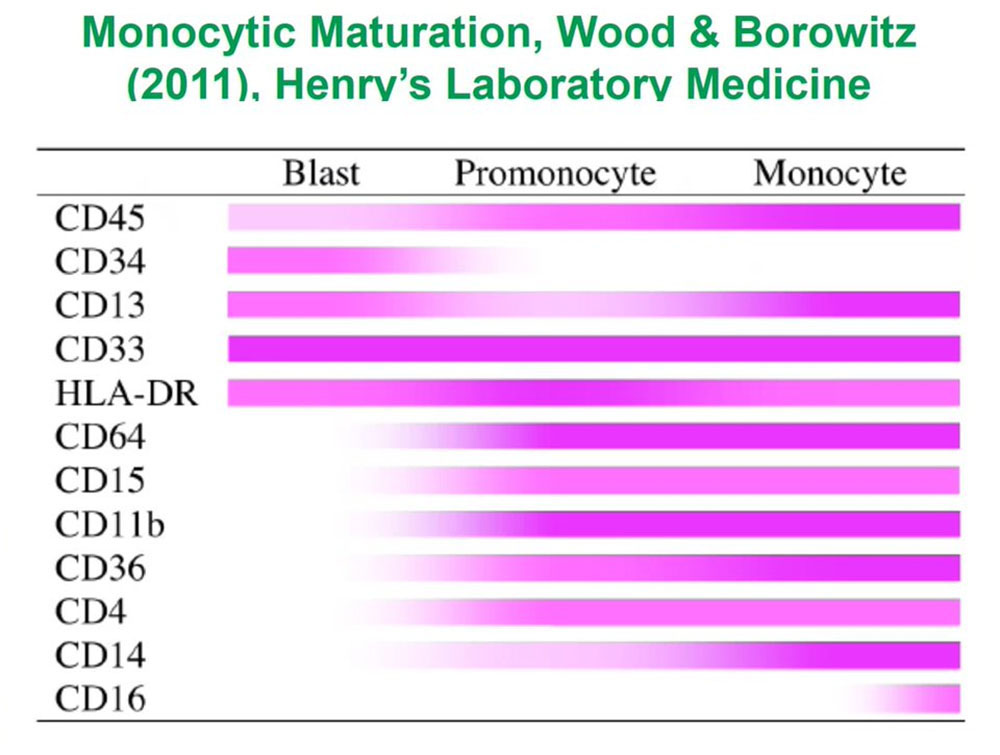 Monocytic Maturation