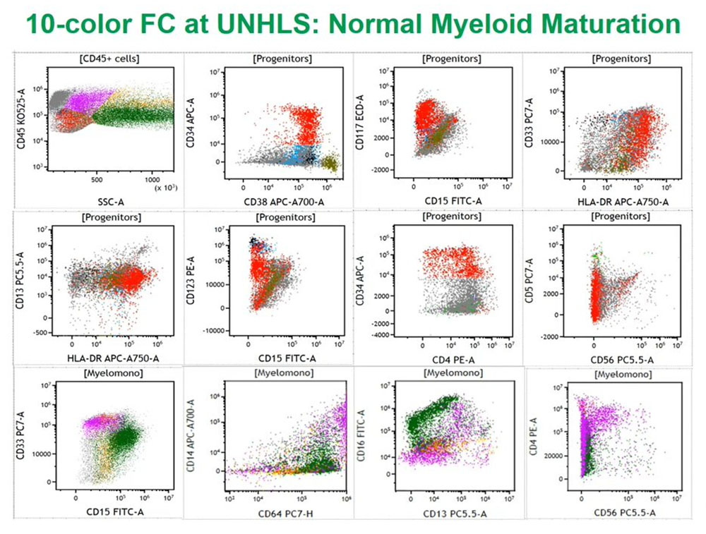 10-color FC at UNHLS: Normal Myeloid Maturation