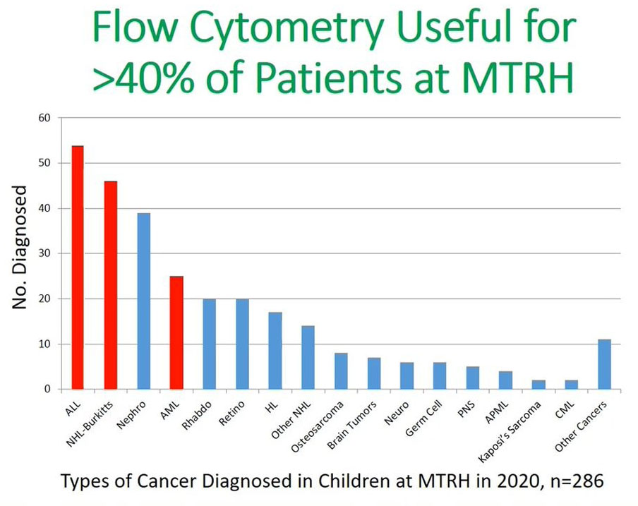Flow Cytometry Pediatric Cancer Diagnosis Webinar, Slide 11