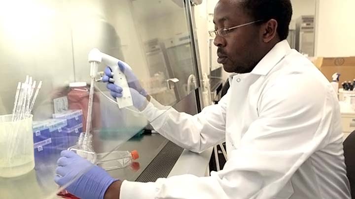 Man pipetting in biosafety hood