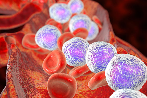 White and red blood cells 3d image