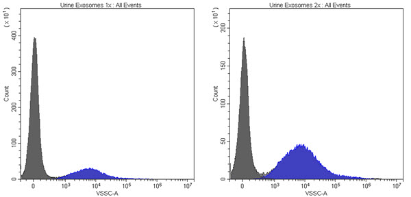 Resolution of Purified Exosomes