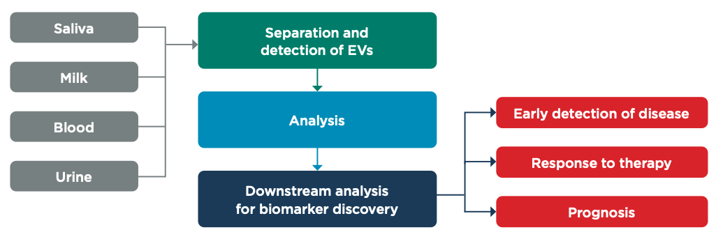 Deciphering the Heterogeneity of Extracellular Vesicles Enriched Body Fluids