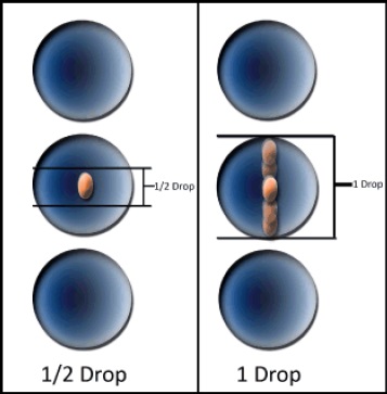 Drop Sort 