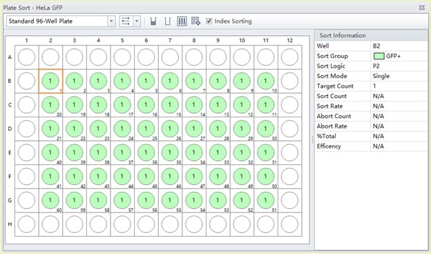 Completed Plate Layout 