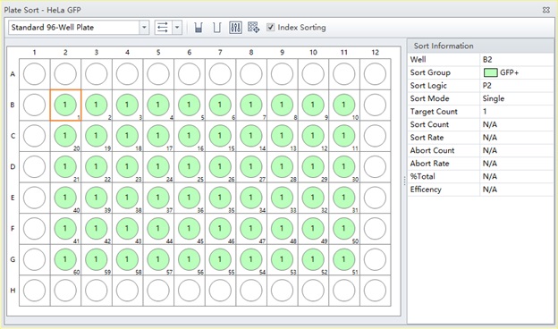 Completed Plate Layout 