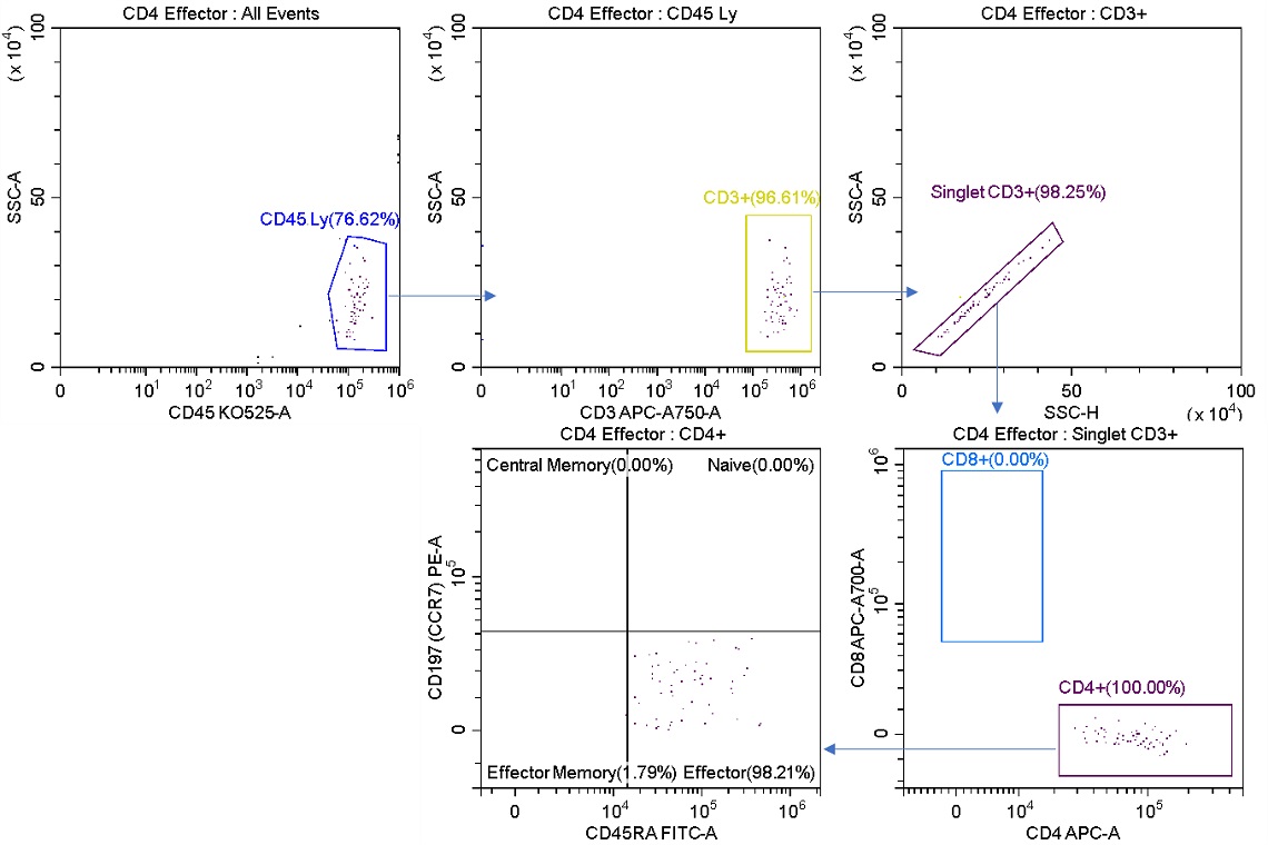  Effector Cell Purity 