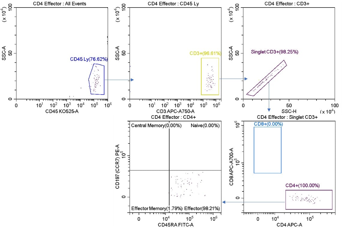  Effector Cell Purity 
