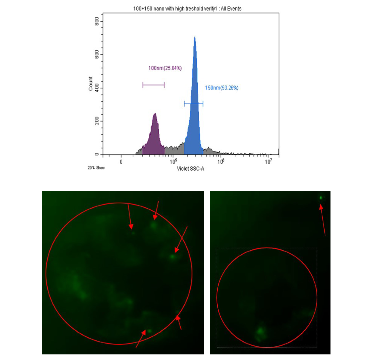 CytoFLEX SRT Sorting of 100 nm YG beads