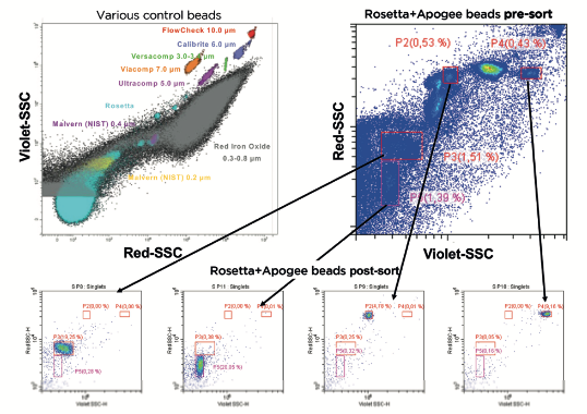 CytoFLEX SRT dynamic range sorting