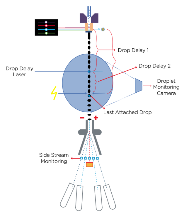 Sort Calibration Schematic