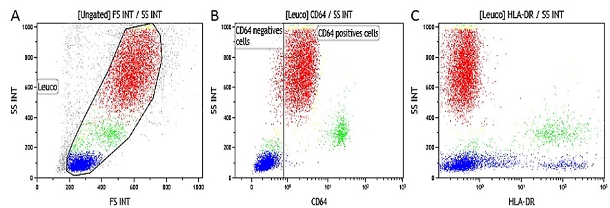 IOTest Myeloid Activation Antibody Cocktail Staining of INF gamma-activated whole blood (EDTA anticoagulant)