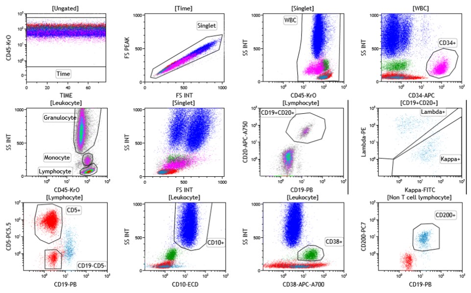 Tubo de linfocitos B de datos ClearLLab 10C para control celular anormal