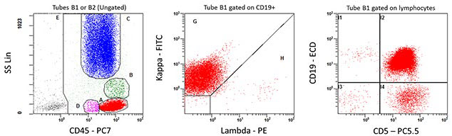 ClearLLab B Cell Tubes Sample Data
