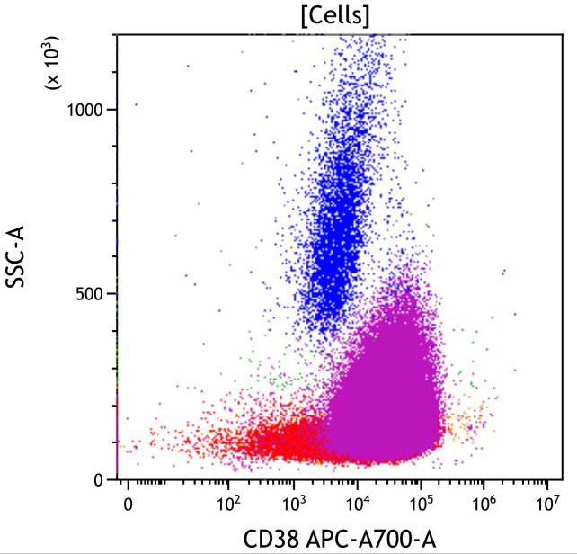 Casebook ClearLLab 10C, case 3, illustration B13, CD38 vs Side scatter, gated on Cells