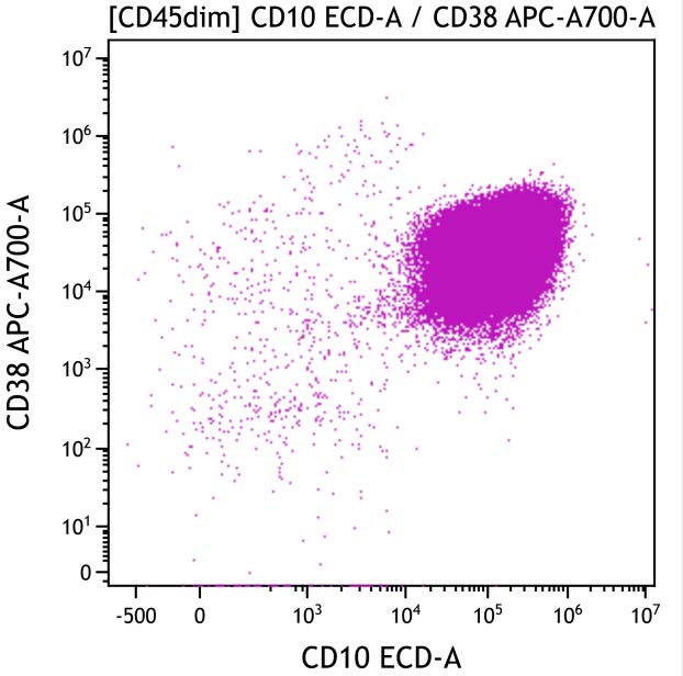 Casebook ClearLLab 10C, case 3, illustration B16, CD10 vs CD38, gated on CD45dim
